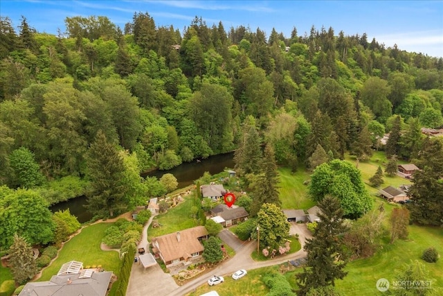 304 Riverview Dr NE, Auburn, WA 98002 - view of property location featuring a forest and a large body of water