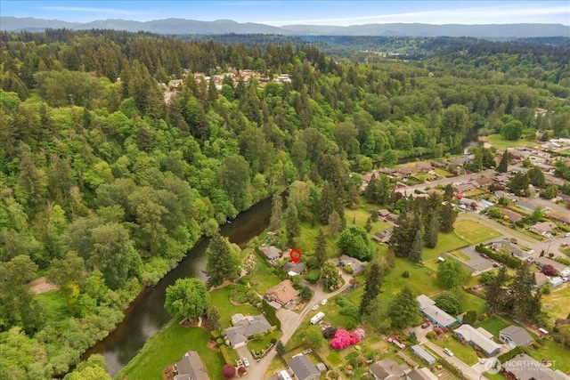 304 Riverview Dr NE, Auburn, WA 98002 - view of property location with a heavily wooded area, a water and mountain view, and nearby suburban area