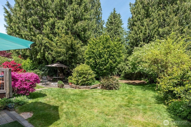 view of green lawn featuring a patio
