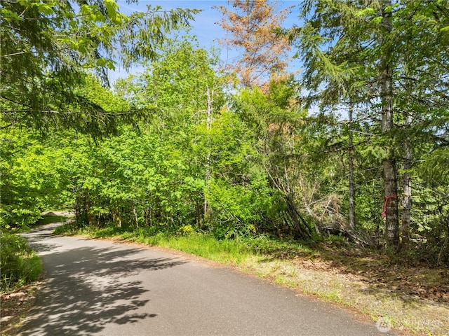 0 E Gerbing View Dr, Union, WA 98592 - photo 3