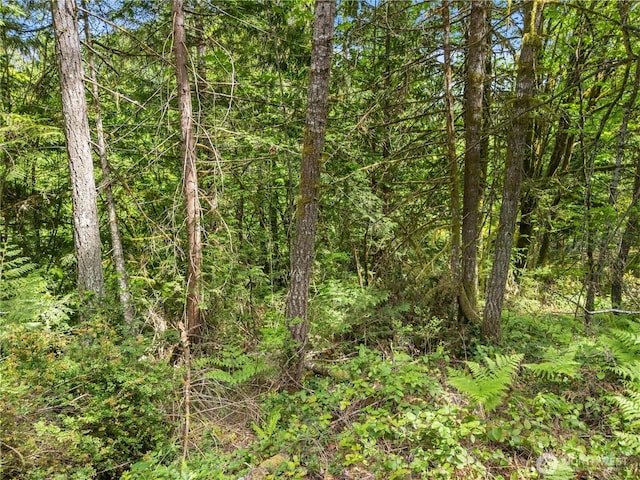 0 E Gerbing View Dr, Union, WA 98592 - photo 4