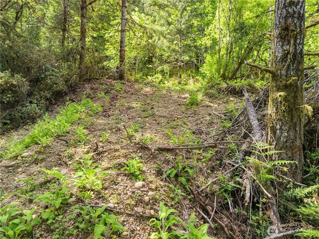 0 E Gerbing View Dr, Union, WA 98592 - photo 5