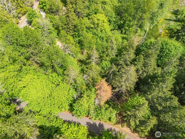 0 E Gerbing View Dr, Union, WA 98592 - photo 6
