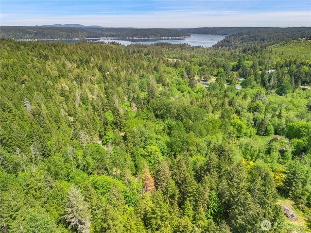 0 E Gerbing View Dr, Union, WA 98592 - photo 7