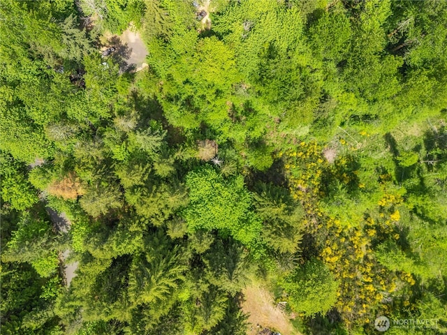 0 E Gerbing View Dr, Union, WA 98592 - photo 8