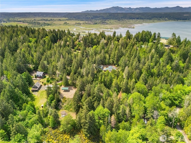 0 E Gerbing View Dr, Union, WA 98592 - photo 10