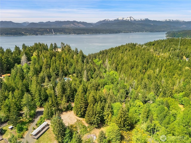 0 E Gerbing View Dr, Union, WA 98592 - photo 12