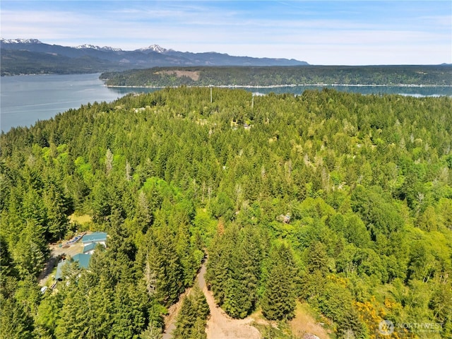 0 E Gerbing View Dr, Union, WA 98592 - photo 13