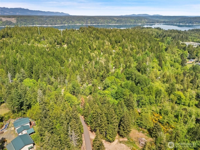 0 E Gerbing View Dr, Union, WA 98592 - photo 15