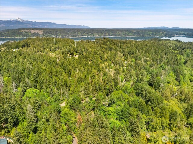 0 E Gerbing View Dr, Union, WA 98592 - photo 17