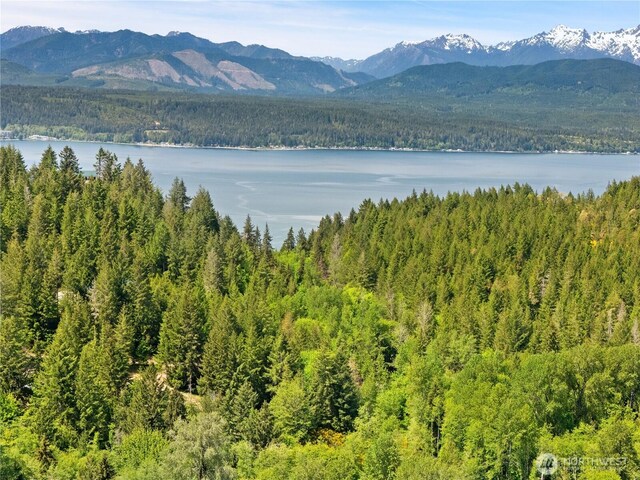 0 E Gerbing View Dr, Union, WA 98592 - photo 20