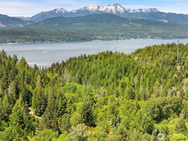 0 E Gerbing View Dr, Union, WA 98592 - photo 21