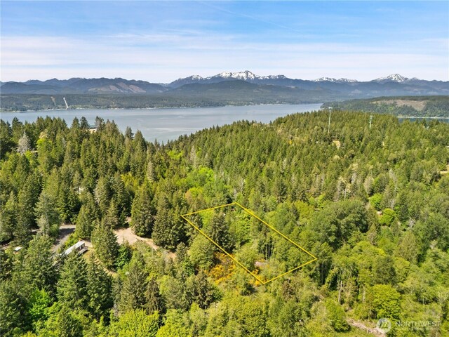 0 E Gerbing View Dr, Union, WA 98592 - photo 23