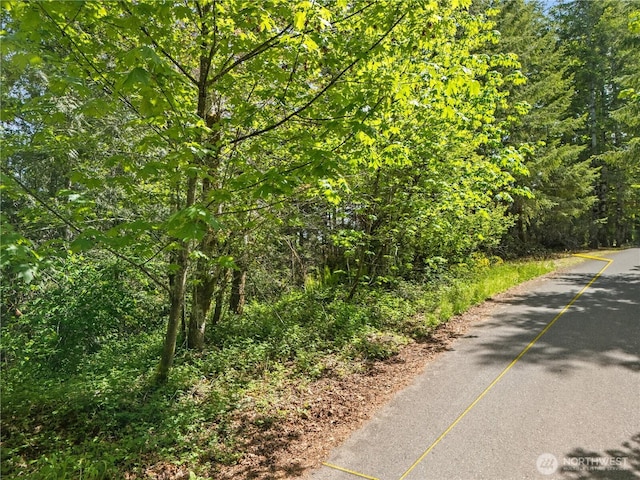 0 E Gerbing View Dr, Union, WA 98592 - photo 27