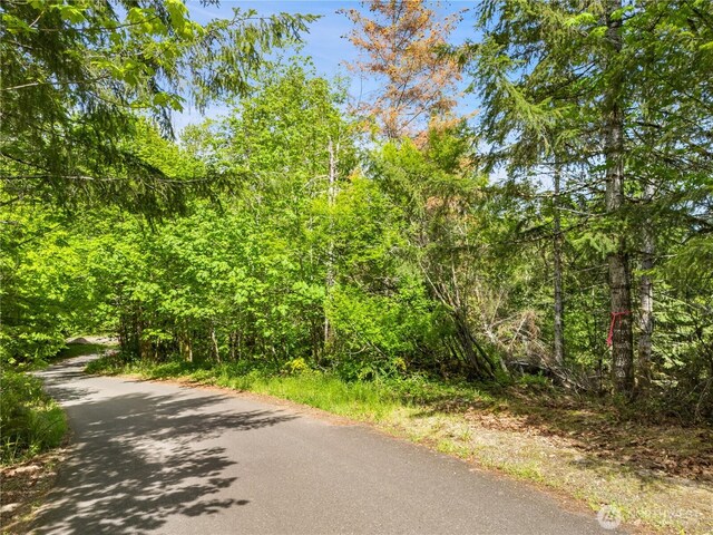 0 E Gerbing View Dr, Union, WA 98592 - photo 30