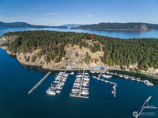 aerial view of property's location with a water and mountain view, numerous boat docks, and a heavily wooded area