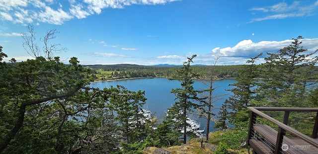 water view featuring a forest