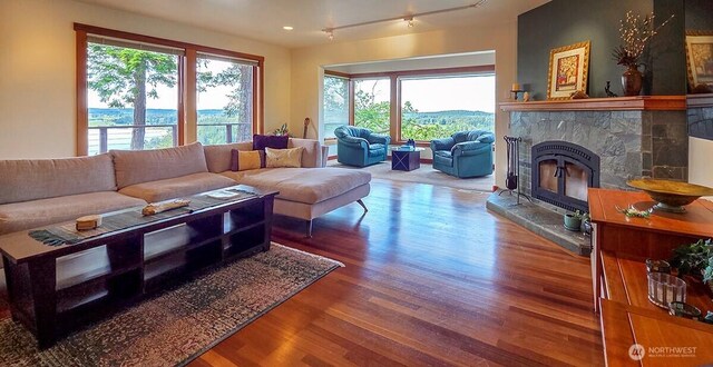 living area featuring wood finished floors, a glass covered fireplace, and track lighting
