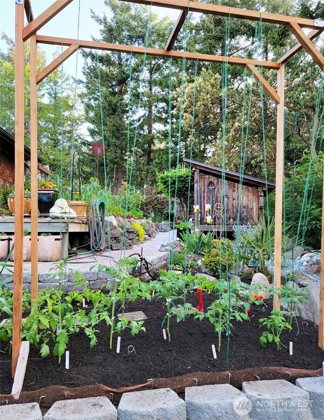 view of yard featuring a vegetable garden