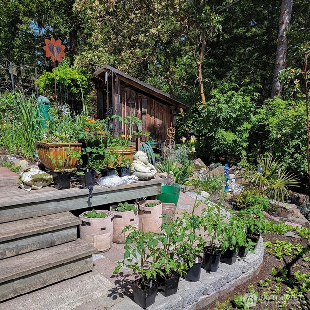 view of yard featuring a deck