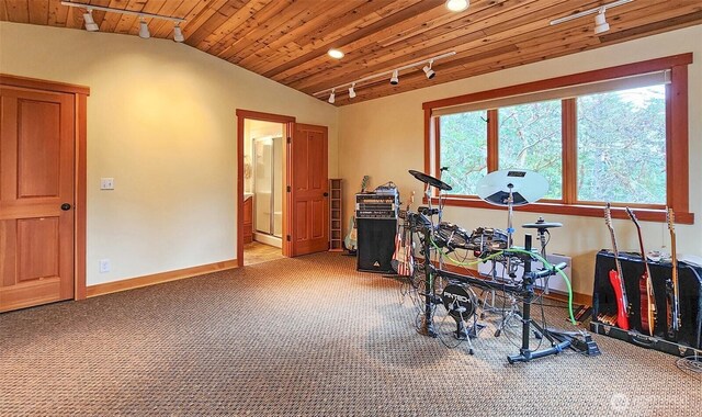 misc room with rail lighting, carpet, wood ceiling, lofted ceiling, and baseboards