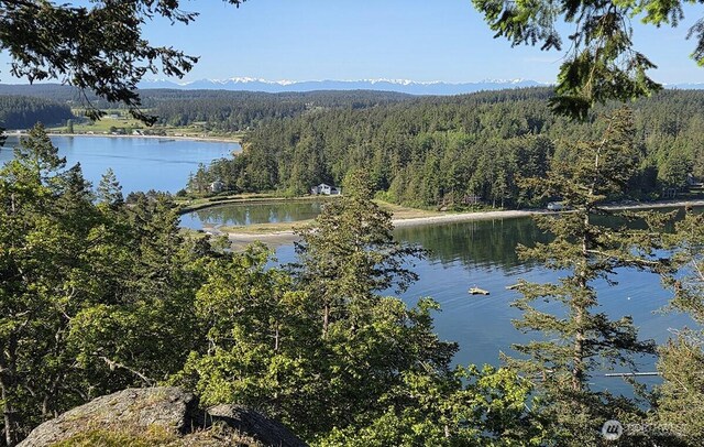 water view with a heavily wooded area