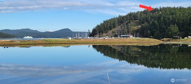 water view featuring a mountainous background and a heavily wooded area