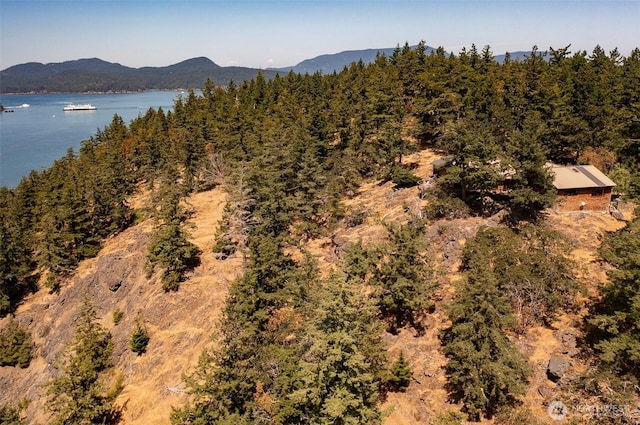 266 Thunder Rd, Lopez Island, WA 98261 - photo 2