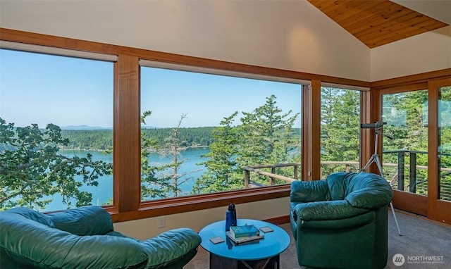 266 Thunder Rd, Lopez Island, WA 98261 - photo 9
