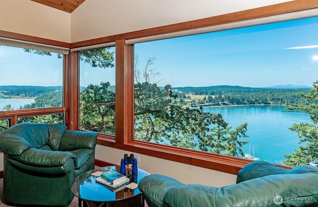 266 Thunder Rd, Lopez Island, WA 98261 - photo 10