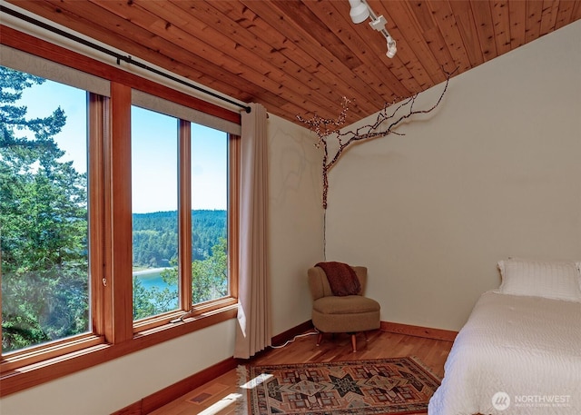 266 Thunder Rd, Lopez Island, WA 98261 - photo 28