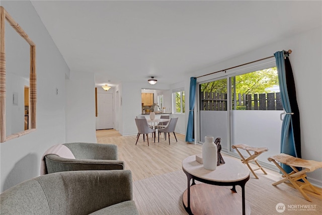 living room with light wood-type flooring