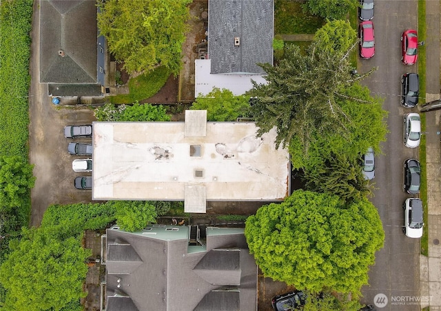 drone / aerial view