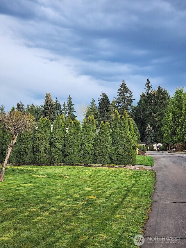 19009 99th Avenue Ct E, Puyallup, WA 98375 - view of green lawn