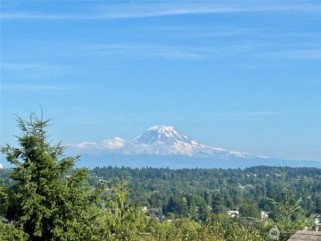 21212 4th Ave S, Des Moines, WA 98198 - photo 2