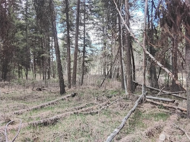44 Trapline Loop Rd, Oroville, WA 98844