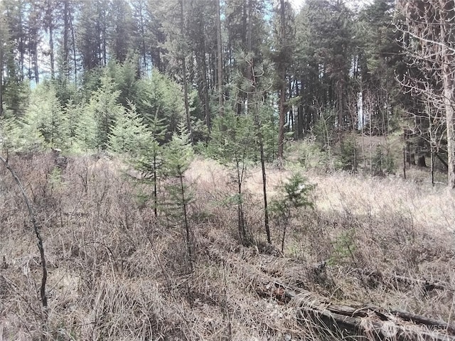 44 Trapline Loop Rd, Oroville, WA 98844