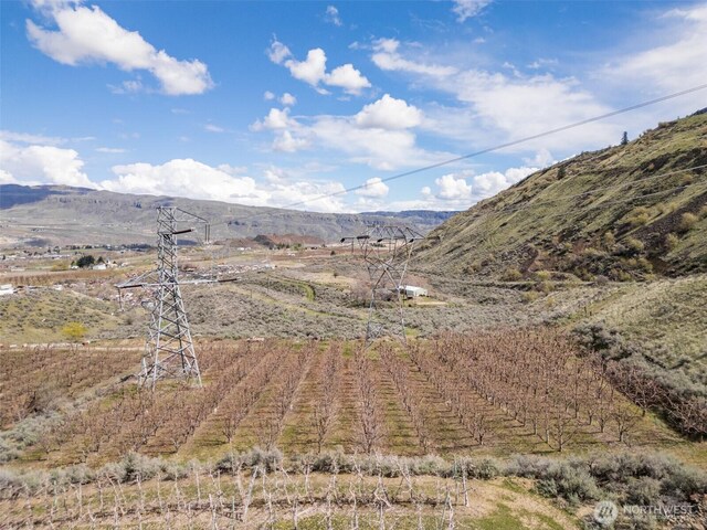 3809 Searles Rd, Malaga, WA 98828 - photo 26