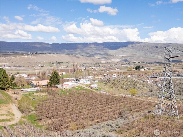 3809 Searles Rd, Malaga, WA 98828 - photo 27