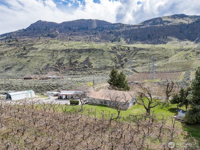 3809 Searles Rd, Malaga, WA 98828 - photo 29