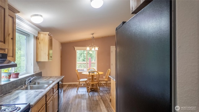 kitchen with wood finished floors, vaulted ceiling, healthy amount of natural light, and baseboards