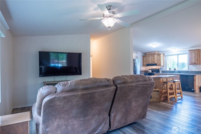 living room featuring wood finished floors, ceiling fan, and baseboards