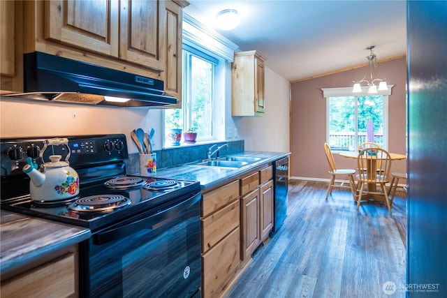 kitchen with black appliances, vaulted ceiling, a sink, under cabinet range hood, and plenty of natural light