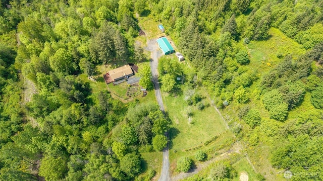 aerial view