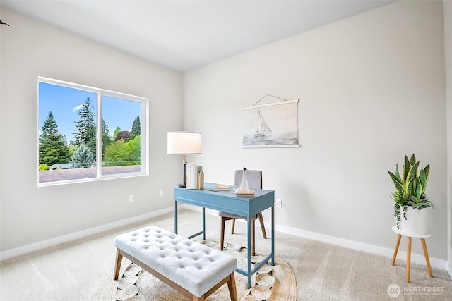 2900 NE 5th Pl, Renton, WA 98056 - carpeted office featuring baseboards