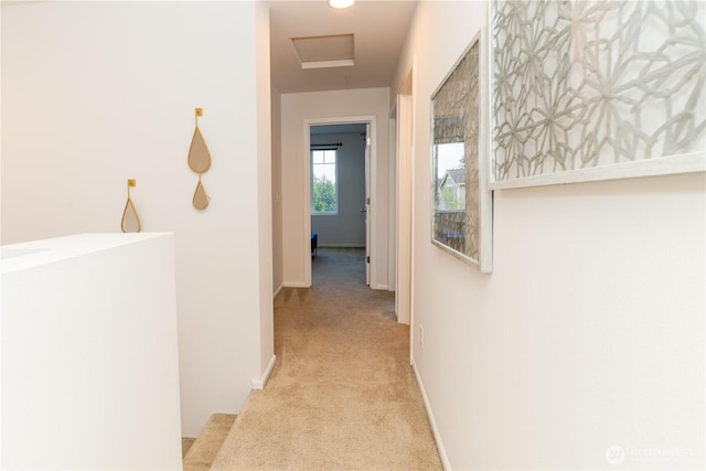 hall featuring carpet floors, attic access, and baseboards