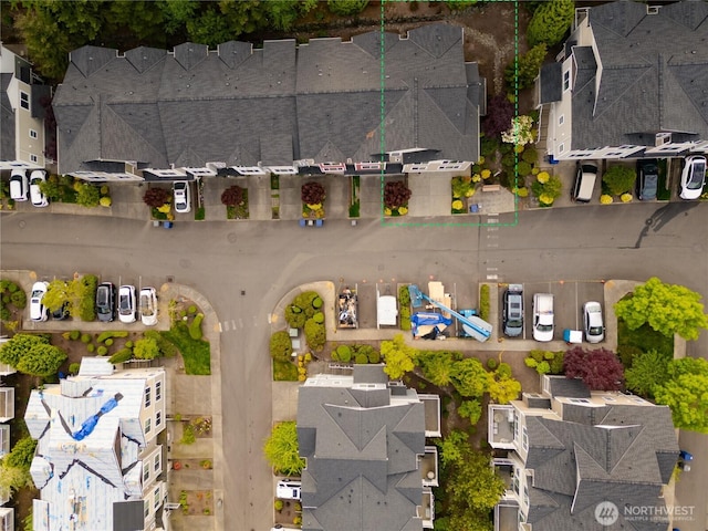 bird's eye view
