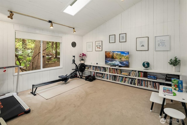 workout area with vaulted ceiling, carpet floors, and rail lighting