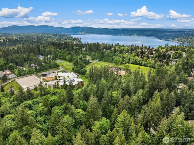 bird's eye view of a forest and a water and mountain view