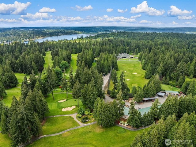 aerial view of a large body of water, a forest, and a golf course